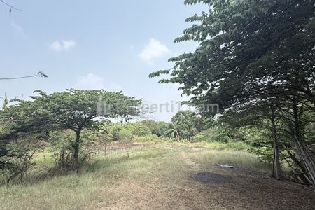Dijual Tanah Pinggir Jalan di Cikarang Cibarusah Bekasi