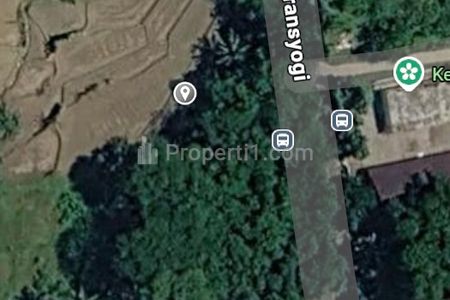 Dijual Tanah Harga NJOP - 4.857 m2 - Lokasi Cariu Bogor Tepi Jalan Besar - SHM