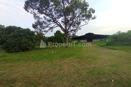 Jual Tanah 20 Hektar, Bisa Perluas,  Ada Kandang Sapi Kapasitas 1500 Ekor Berikut Izinnya, Jalan Sudah Dicor di Cariu Jonggol Bogor