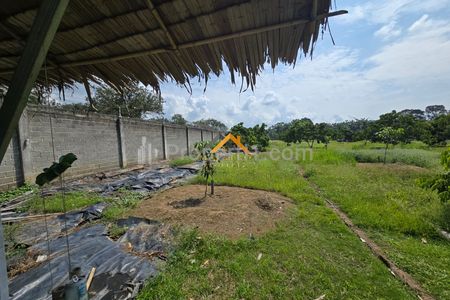 Dijual Kebun Kelengkeng & Bangunan Jalan Lintas Sumatera - Langkat