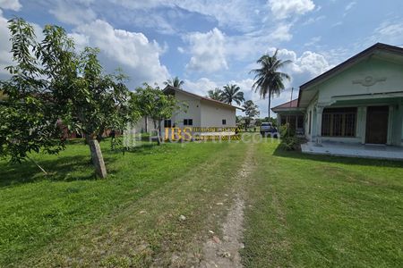 Tanah Kebun Kelengkeng & Bangunan Dijual di Jalan Lintas Sumatera - Langkat