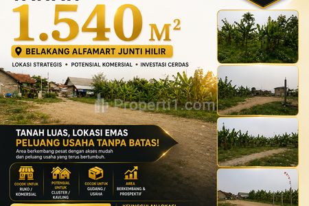 Dijual Tanah Luas untuk Investasi di Katapang Bandung