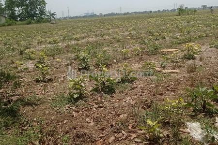 Dijual Lahan 151,9 Hektar di Sukatenang, Sukawangi, Bekasi