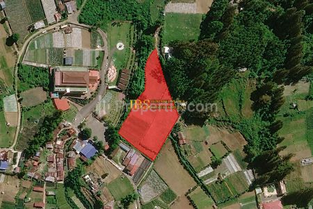 Jual Tanah Kosong Luas 1,8 Hektar di Peceren Daerah Berastagi Jalan Mimpin Tua