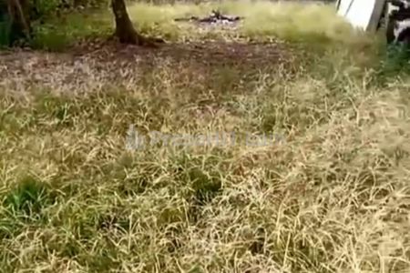 Jual Cepat Tanah Kosong Siap Bangun SHM di Tangerang Selatan - Serpong - Buaran - Jln Musholah Al Barkah, LT 209 m2 ( 11 × 19 ) SHM - PBB