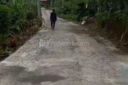 Dijual Tanah 2,29 Hektar Pujungan Pupuan Tabanan Bali Dekat Gunung Batukaru