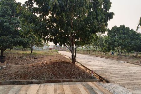 Jual Tanah Murah 126 m² di Cariu Bogor