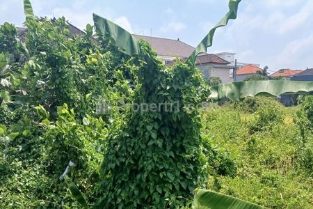 Dijual Tanah 50 Are Zona Perdagangan dan Jasa Kapal Mengwi Badung Bali
