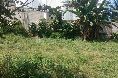Dijual Tanah di Daerah Berkembang Kandang Panjang, Bogor