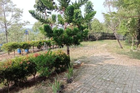 Dijual Murah Tanah di Jasinga Bogor Free Pohon Berbuah