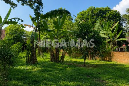 Jual Tanah Luas Cocok untuk Slow Living di Wonolopo, Mijen, Semarang