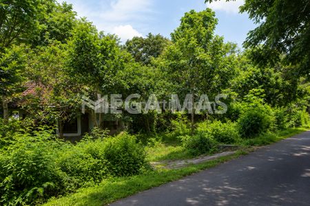 Jual Tanah Pinggir Jalan Raya Delingan, Karanganyar, Jawa Tengah - NEGO !