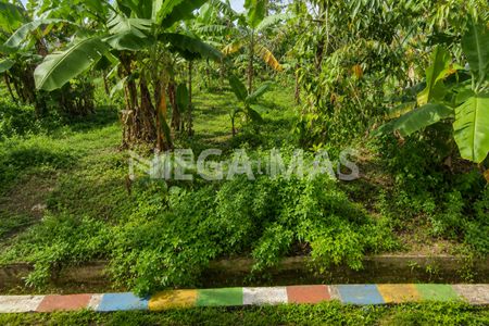 Jual Tanah Strategis, Dekat Jalan Raya di Muntal, Semarang