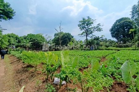 Dijual Tanah Murah Lokasi Strategis Siap Bangun di Pancoran Mas Depok