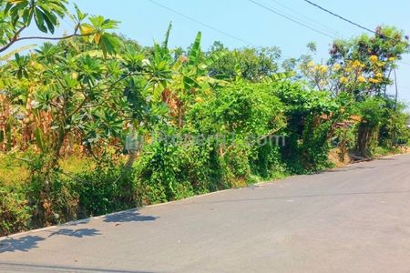 Disewakan Tanah 1500 m2 Jl Bina Kesuma Ubung Dekat Jl Cokroaminoto, Cargo, Gatsu Denpasar Bali