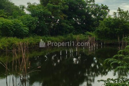 Jual Tanah Hunian untuk Perumahan di Area Banjar Wijaya, Poris Plawad Indah, Cipondoh, Kota Tangerang, Banten