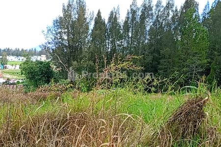 JUAL TANAH DI BERASTAGI 10.059M² (SHM) O8I37747OIOO