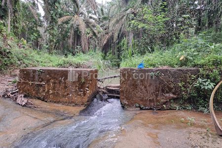 Jual Tanah Kebun Sawit 9,2 Hektar di Talun Kenas Deli Serdang (SHM)