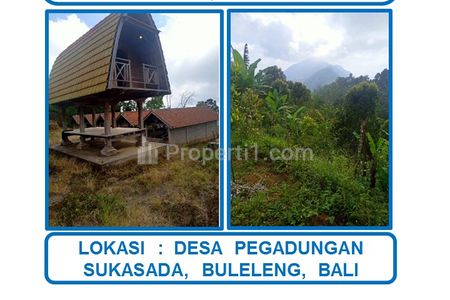 Jual Cepat Harga Spesial Tanah Siap Bangun Luas 65.370 m2 di Buleleng, Bali Utara